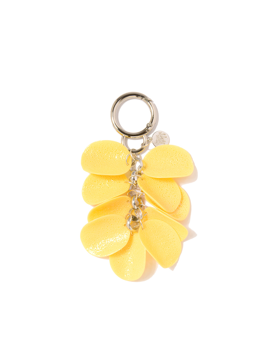 CHIP CHIP BAG/KEY LEASH - POTATO CHIP KEYCHAIN – Venessa Arizaga