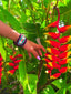 CORAL BLOSSOM BRACELET